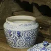 Flessen blauw-witte paddenpot met Chinese antieke keramische voorraadpot