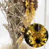 Декоративные цветы Искусственный подсолнух со светодиодными гирляндами в стеклянном куполе Зачарованная цветочная лампа на День Святого Валентина Матери Подсолнухи