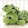 Love Apartment Big Eyed Turtle peluche tartaruga bambola