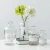 Vazen Noordse glazen bloem vazen ​​gedroogde bloem arrangement fles creatieve hydrocultuur terrarium container woonkamer bureaubladdecor P230411