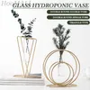 Vazen hoomall eenvoudige geometrisch metaal smeedijzeren transparant glas hydrocultuur vaasdecoratie gedroogde bloem arrangement Home Decor P230411