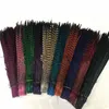 Whole Custom Colors Pheasant Tail Feathers Iewelry Craft Hat Mask Feather Hair Extention 100pcs 20-22inch 50-55cm EEA294-1235s