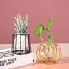 Vases Terrarium Retro Iron Line Vase Hydroponic Plant Flower Vase Home Decoration Metal Plant Holder Nordic Styles Iron Vases Ornament P230411