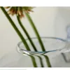 Vases 2022 New Hanging Flower Pot Glass Ball Vase Terrarium Wall Fish Tank Aquarium Container Home Decoration 10cm 12cm 15cm P230411