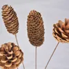 Decorative Flowers Natural Dried Hardcore Pine Cone Shooting Props Home Furnishings Manual Production