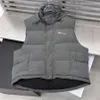 Winter Cotton Vest Designer Warm Short Coat for Men Women Street Letter Fashion Outerwear 2 Colors