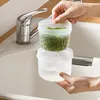 Storage Bottles Refrigerator Ginger Garlic Green Onion Kitchen Box Home Double-layer Transparent Plastic Drain-sealed Fresh-Keeping Bowl