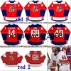 Weng #68 Jaromir Jagr Czech Republik WCH Team World Cup des Hockey -Trikots 14 Tomas Plekanec 48 Tomas Hertl Custom Hockey Trikots