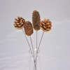 Decorative Flowers Natural Dried Hardcore Pine Cone Shooting Props Home Furnishings Manual Production