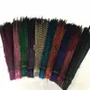 Whole Custom Colors Pheasant Tail Feathers Iewelry Craft Hat Mask Feather Hair Extention 100pcs 20-22inch 50-55cm EEA294-12142