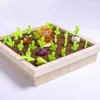 Kinderen houten speelgoedverlichting Verlichting Early Education Educational Interest Vegetable Memory Schaakspel Game Farm Pull Radish Board Game