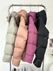 Llulu Womens Jacket Yoga Designer Down Jacket Skjorta förtjockande sport halv dragkedja hårcirkel designer tröja lösa korta kläder sport kvinnor jackor