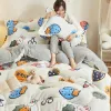 Sets Milk Velvet Quilt Lamb Comforter, Super Warm Quilt, Thicker Single Double Fall/winter Spring Autumn Space Best quality