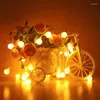 Strings Led Lights Wedding Decoration Usb Power 10m/100led Waterproof Year's Garland Fairy String Light For Christmas Holiday Party