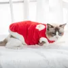 개 의류 2023 고양이 스웨터 겨울 패션 두꺼운 따뜻한 스핑크스 옷은 작은 개를위한 편안