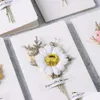 Приветствующие открытки 1pcs Подарочная карта приглашения Gypsophila высушенные цветы рукописное благословение