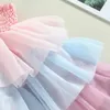 Meisjesjurken meisjes jurk mode mode elegante peuter kinderen verjaardag prinses 4-7 jr tule tutu jurken trouwfeest baby's