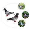 Decorações de jardim 2 pçs estátuas ao ar livre gramado pombo adorno casa suprimentos artificial pluma decoração escultura decoração artesanato