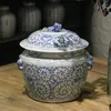 Flessen blauw-witte paddenpot met Chinese antieke keramische voorraadpot