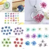 Other Festive Party Supplies 30Pcs/Set Pressed Dried Flower Dry Plants Pendant Necklace Jewelry Making Craft Diy Accessories For A Dhlpm