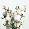 Decorative Flowers Simulated Eucalyptu Leaf Vase Flower Arrangement With 4 Cotton Dried Artificial Eucalyptus Money Wedding Decoration