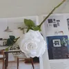 Fleurs décoratives Rose artificielle en soie, fausse fleur sèche, accessoires d'arrangement de mariage, Bouquet de photographie, maison, salon, plante de jardin