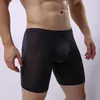 Caleçons Sexy hommes sous-vêtements en soie de glace longue jambe culotte transparente hommes Boxer respirant boxeurs Shorts