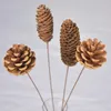 Decorative Flowers Natural Dried Hardcore Pine Cone Shooting Props Home Furnishings Manual Production