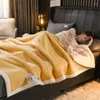 Blankets Really Warm Winter Duvet Thick Mink Blanket For Beds Fleece Casmere Throw Bed