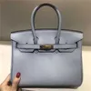 Designer-Bag Damenhandtaschen Platinum Palm Muster Kuhleder tragbarer Einschuld Bote beliebte klassische Mode