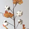 Dekorativa blommor 2st/parti 6 huvuden med bladbomull naturliga torkade grenar för heminredning dekoration och skjutrekvisita