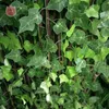 Faux kwiatowa zieleń 1pc 230 cm zielona winorośl jedwabny sztuczny bluszcz wiszący liść girlandzki Creeper Decor Wedding łazienki dekoracja ogrodu 230410