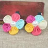 Accessori per capelli 2 pezzi carino treccia fiore cartone animato tornante neonate bambini clip perni archi barrette per bambini clip fermacapelli Hea