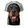 Herr t-skjortor sommar 3d utskrift söt husdjur tysk herde hund rottweiler t-shirt avslappnad rolig topp mode unisex kortärmad skjorta