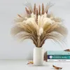 Decoratieve bloemen 80 -st riet Flower Bouquet Gedroogde Pampas Grass Pampass Takken Arrangement Bruiloft Keuken Decor Droogbloemen voor Home