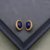 Choker European och American Fashion Medieval Oval Lapis Lazuli Pendant White Emamel Necklace Earring Set