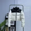 Diseñador de cara norte chaqueta para mujer Abrigos de mujer Calidad 100% Chaquetas de plumón Moda Cuello alto engrosado Abrigo para mujer Chaqueta de invierno de mujer de cintura alta