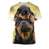 T-shirts pour hommes Été 3D Impression Mignon Pet Berger Allemand Chien Rottweiler T-shirt Casual Funny Top Mode Unisexe Chemise à manches courtes