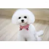 Abbigliamento per cani Modelli primaverili ed estivi Collare finto Decorazione Accessori LED Orsacchiotto per animali domestici