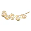 Broszki Vanssey luksusowe modne biżuteria kwiat Orchid Naturalne perłowe szklane broszki broszka Akcesoria dla kobiet 2023