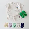Комплекты одежды корейский мальчик для мальчика летние одежды набор для вышитых медведя красочные футболки T Рубашки свободные шорты 2pcs Pack Girls 230412