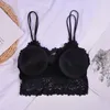 Yoga outfit 2023 Kvinnor BRA Sexig underkläder Kvinnors underkläder Push Up Bralette Top Lace Female Sport Bras stropplös