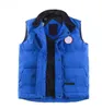 Męskie Down Parkas Designer męski kamizelka zima Salzman Down Jackets Parkas Light Windbreaker Bluaker Czarna biała puffer odzież wierzchnia Man Włochy włoski 2846007 pGE5