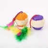 Cat Toys Sisal Ball Scratching Posts Mouse Style Interactive Feather Pet For Cats Products