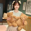 20-30 cm Piękne nadziewane pluszowe misie Pluszowe zabawki Kawaii Fat Animal Bears Pocieszające lalki dla dzieci walentynkowe prezenty