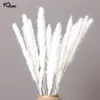 Decorative Flowers & Wreaths 15 Pcs Bulrush Dried Colored Natural Flower Bouquet Wedding Home Decoration Glass Window Floral2245