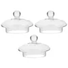 Set di stoviglie 3 pezzi Teiera in vetro Bollitore superiore Tazza trasparente con coperchio per stoviglie Sostituisci il coperchio degli accessori