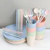 Placas -28 PCs Dinner Set