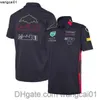 Camisetas masculinas F1 Racing Polo Suit 2023 Tese de verão de lapela T-shirt Mesmo Sty Customization 4123