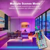 LED RGB Lights Strip 10m kit, flexibele kleurveranderende LED -strip Licht 10m met externe, 5050 RGB LED -lichten met 44Key IR -afstandsbediening, 24V LED -lichten voor slaapkamer, tv, keuken, feest